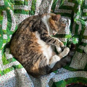 Meet your Posher, Shaye